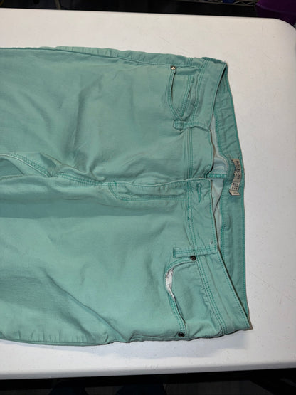 Iris Jeans Cool Mint Slim Ankle Jeans Size 17 Stretch Denim Women’s